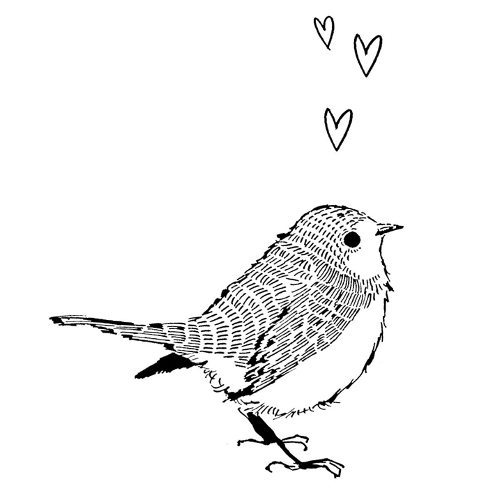 lovely bird