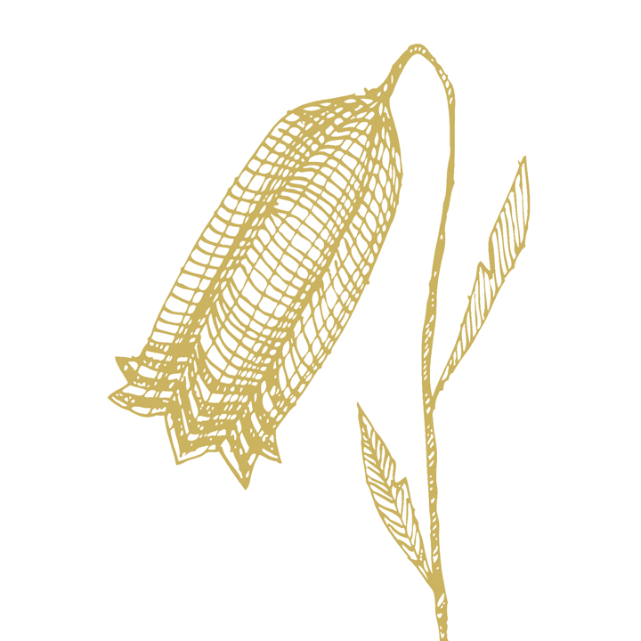Modern botanics 2