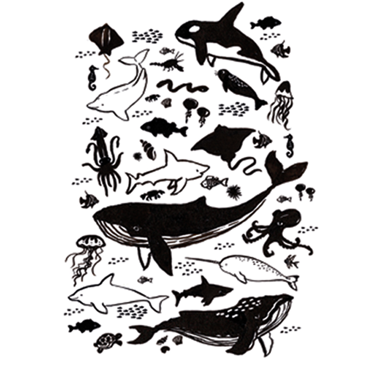 Whale sealife poster