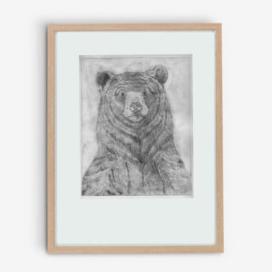 bruine beer ets portret groot