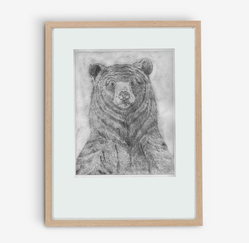 bruine beer ets portret groot