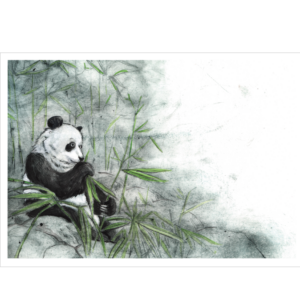 Panda A4 art print