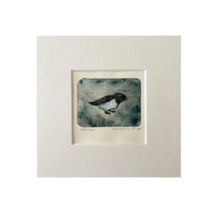 Etsje van een kleine Alk