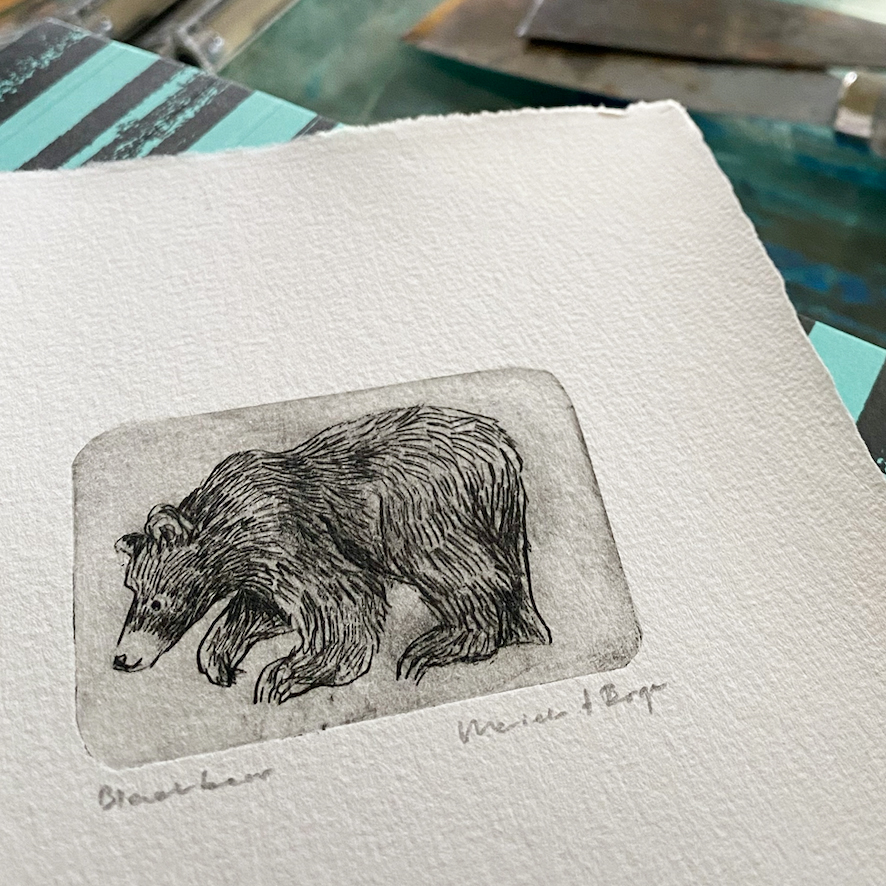 https://marieketenberge.nl/app/uploads/2026/03/grafiek4_886x886_acf_cropped.jpg